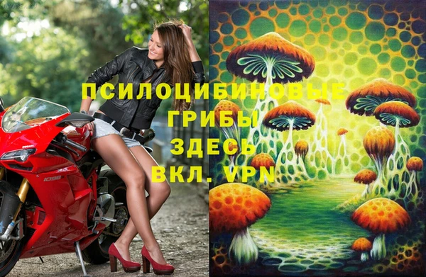 хмурый Балабаново